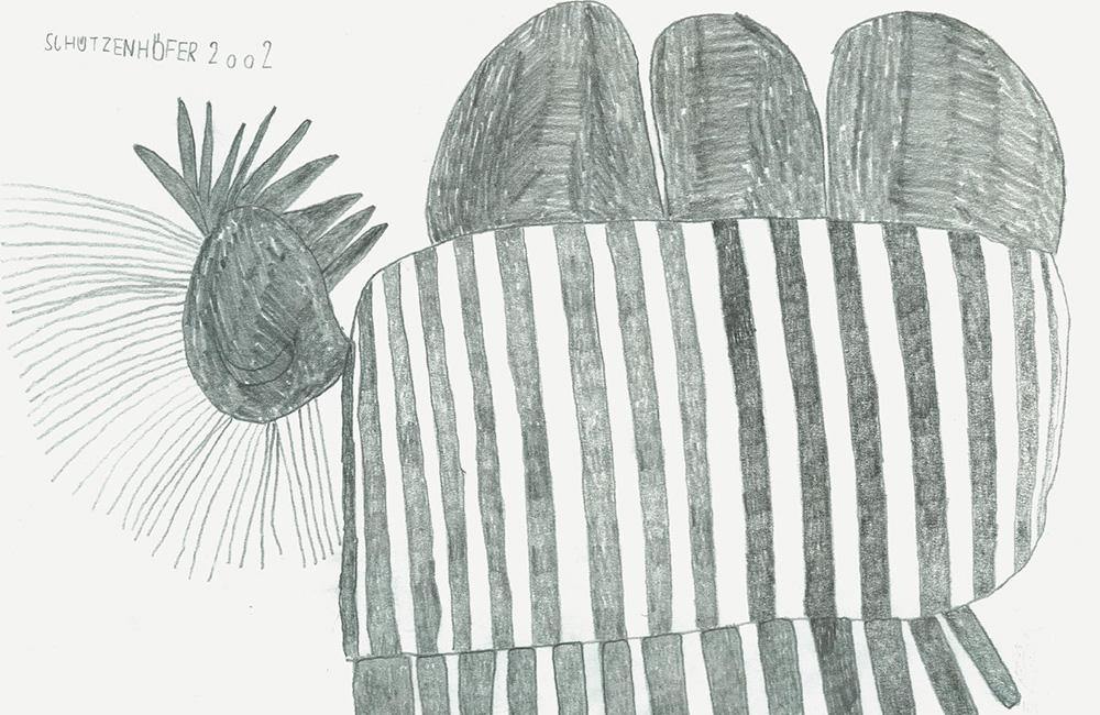 Schützenhöfer and Vondal - RAW VISION