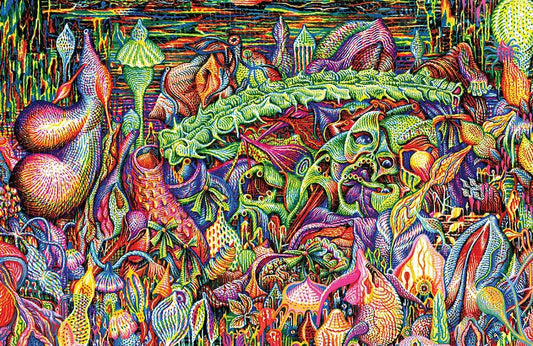 Stéphane Blanquet - RAW VISION