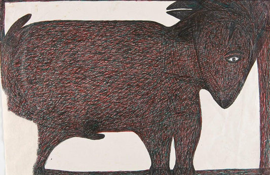 Jaime Fernandes - RAW VISION