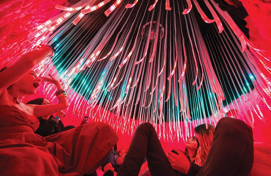 AVAM's 20th Year: 20 Years of Vision - RAW VISION