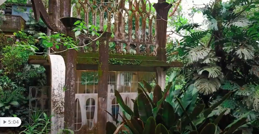 Great Gardens: Las Pozas - RAW VISION