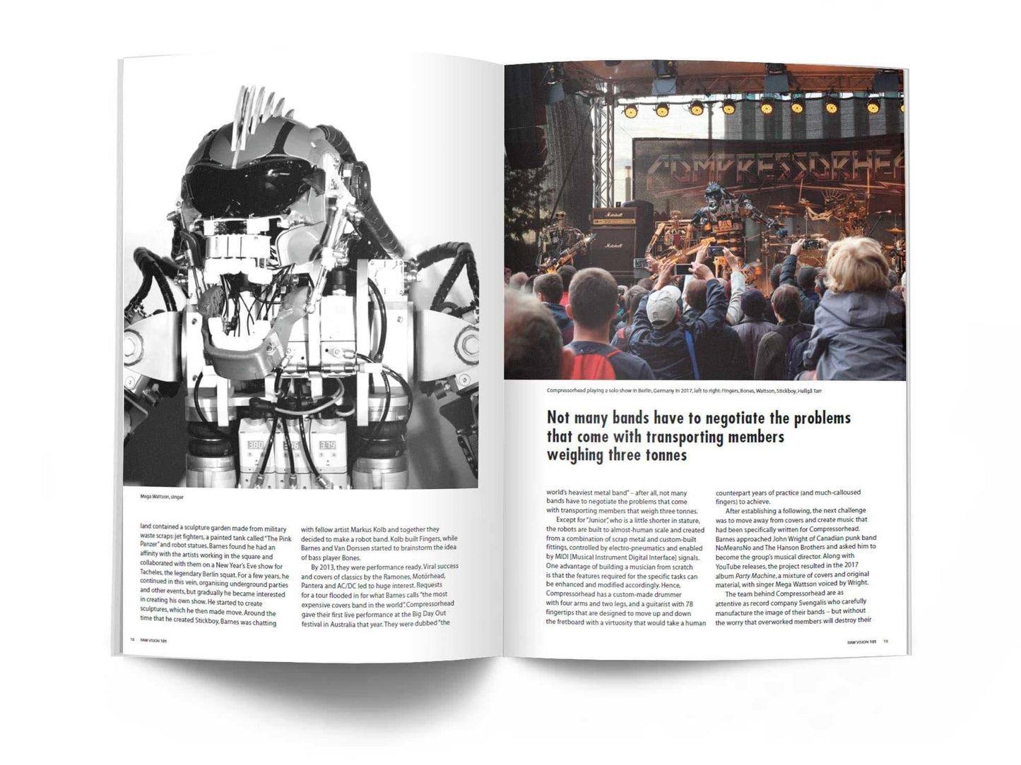 Raw Vision Magazine Issue #101