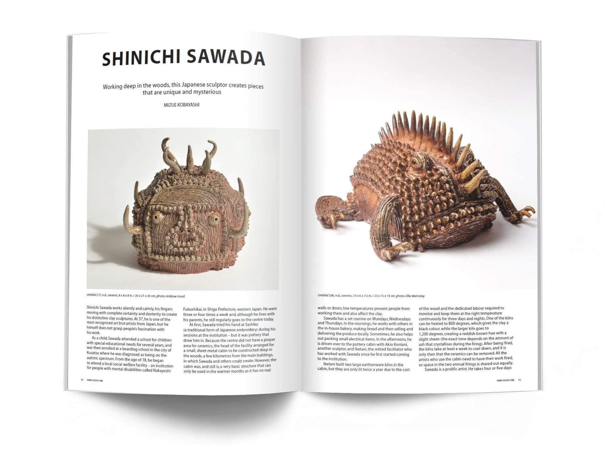 Raw Vision Magazine Issue #102