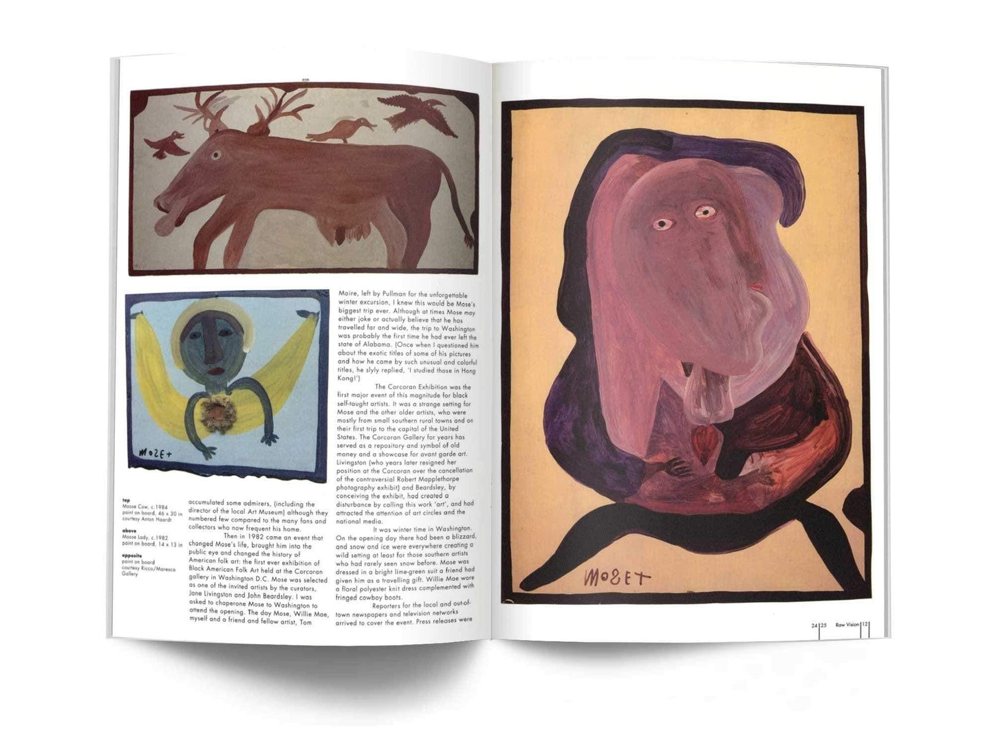 Raw Vision Magazine Issue #12