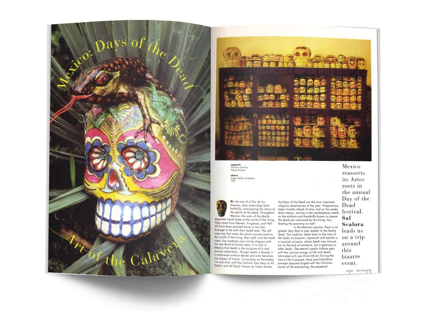 Raw Vision Magazine Issue #12