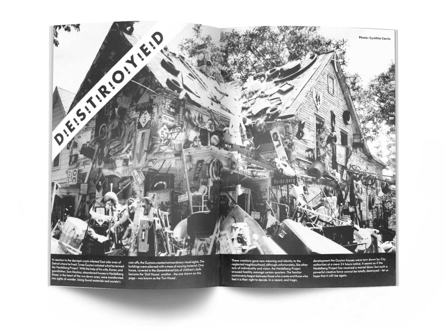 Raw Vision Magazine Digital Issue #6