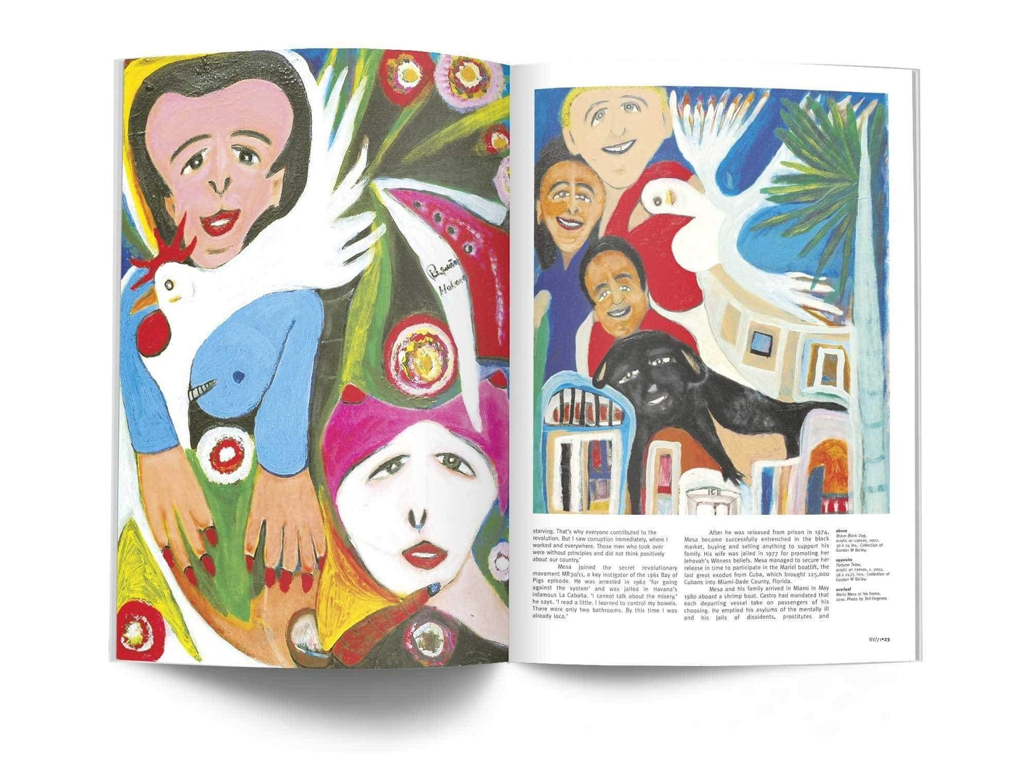Raw Vision Magazine Issue #71