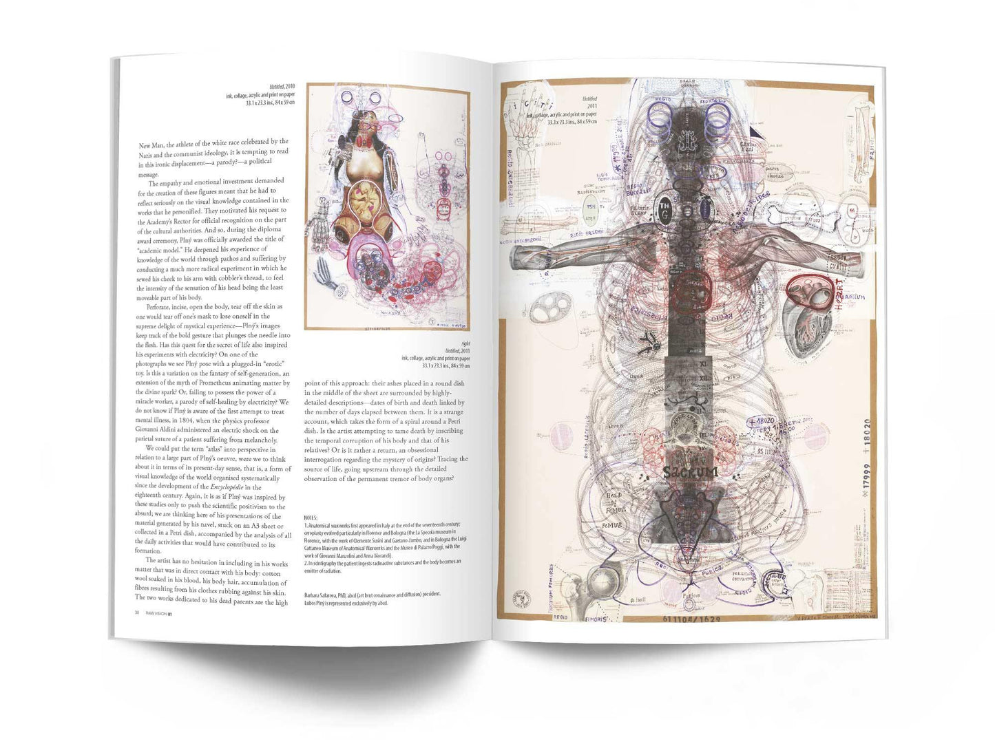 Raw Vision Magazine Issue #81