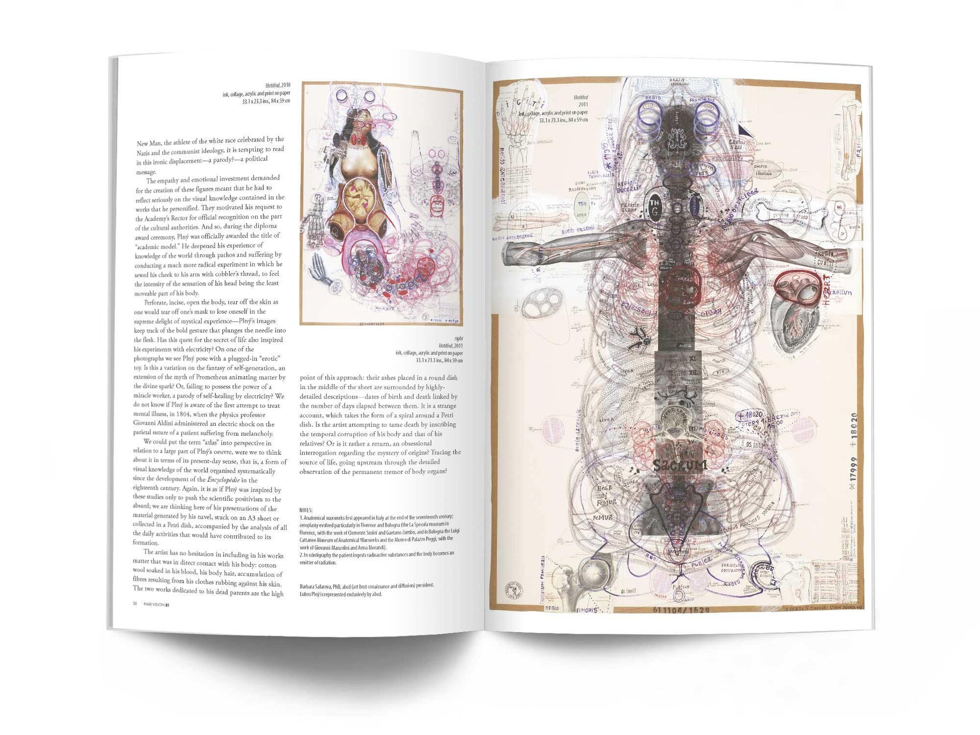 Raw Vision Magazine Issue #81