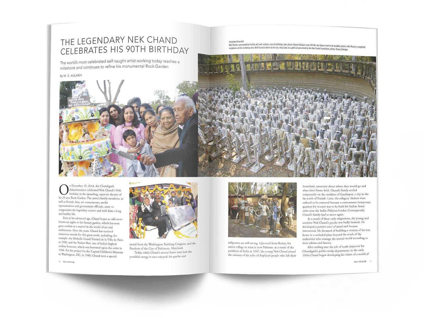 Raw Vision Magazine Issue #85