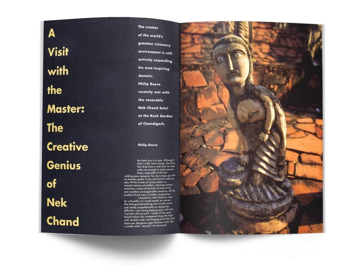 Raw Vision Magazine Digital Issue #9