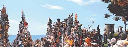 SPANISH ENVIRONMENTS